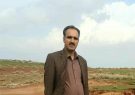ایلام قطب تولید و صادر کننده نهال به استانهای کشور است
