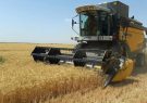 کمبود کمباین برای برداشت محصولات در ایلام/دادستانی استان ورود کرد