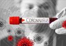 ۲۲۰ مورد جدید مبتلا به ویروس کرونا در استان و ۷ مورد فوتی
