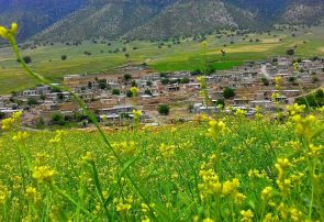 بهشتی که دیگر جای ماندن نیست
