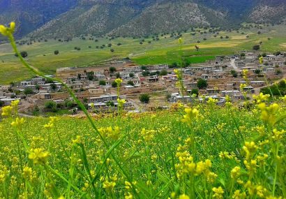 بهشتی که دیگر جای ماندن نیست