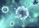 محدودیت های کرونا برای سومین هفته متوالی در ایلام تمدید شد