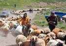 خاموشی ساز کوچ در مناطق ییلاقی ایلام