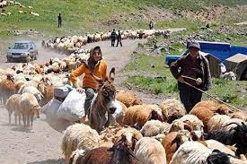 خاموشی ساز کوچ در مناطق ییلاقی ایلام