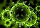 شناسایی ۸۱ مورد جدید مبتلا به کرونا ویروس / ۱ مورد فوتی