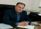بطور میانگین روزانه ۴۰ تا ۴۵  تن گوشت مرغ در استان ایلام توزیع می شود