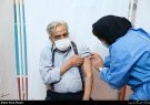 تأمین ماهانه ۱۰ میلیون دوز واکسن ایرانی کرونا از شهریور ماه