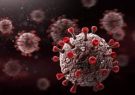 ۷۴ مورد جدید مبتلا به کرونا ویروس در استان/  ۱ مورد فوتی