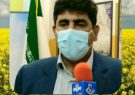 ‍  استان ایلام رتبه سوم کلزای کشور را کسب کرد