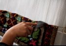 آغاز دوره‌های آموزشی صنایع‌دستی در روستاهای محروم هلیلان ایلام