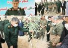 ۱۰۰هزار اصله نهال در هفته منابع طبیعی کاشت می شود