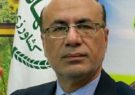 اختصاص ۱۸ هزار هکتار از اراضی کشاورزی(گندم) ایلام به کشت قرارداری