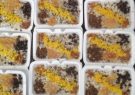 استفاده از ظروف یکبار مصرف پلاستیکی در توزیع نذورات ممنوع است