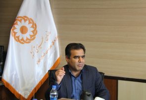 بهزیستی ایلام از خانوارهای چند قلو حمایت می کند بهزیستی ایلام از خانوارهای چند قلو حمایت می کند