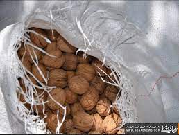 بیش از یک تن گردوی خارجی قاچاق در شهرستان هلیلان کشف شد بیش از یک تن گردوی خارجی قاچاق در شهرستان هلیلان کشف شد