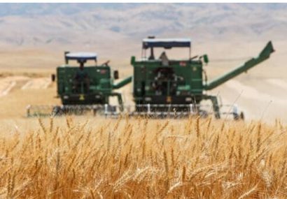 استقرار ۲۰۰ کمباین در دهلران برای برداشت محصول گندم کاران
