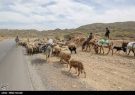 کوچ عشایر ایلام به مناطق ییلاقی آغاز شد