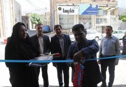 ۷۲ طرح اشتغال مددجویان بهزیستی ایلام افتتاح شد