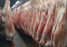 مهمترین راهکار پیشگیری از تب کریمه کنگو خرید گوشت قرمز از مراکز مجاز است مهمترین راهکار پیشگیری از تب کریمه کنگو خرید گوشت قرمز از مراکز مجاز است