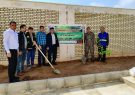۳۴۰ نهال مثمر و غیر مثمر در ایستگاه های گازرسانی ایلام کاشت شد