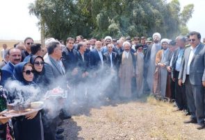 تولیدات کشاورزی دهلران در سال ۴۲۵ هزار تن است