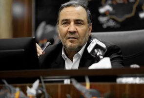 استاندار ایلام خواستار تامین ۲۰۰ دستگاه دمنده برای مهار آتش‌سوزی در استان شد 