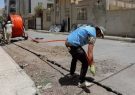 جولان مارهای سمی و دست ساخته، بلای جان ایلامیان/تخریب را فدای تکنولوژی نکنید جولان مارهای سمی و دست ساخته، بلای جان ایلامیان/تخریب را فدای تکنولوژی نکنید