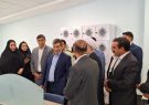 پرفسور جراح مغز نیک می داند مغز چیست پرفسور جراح مغز نیک می داند مغز چیست