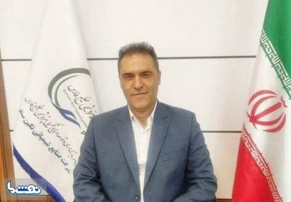 مدیرعامل پتروشیمی ایلام منصوب شد مدیرعامل پتروشیمی ایلام منصوب شد