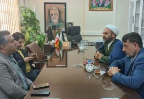 تقویت فضاسازی و تزئینات شهری ویژه دهه فجر در دستور کار قرار دارد تقویت فضاسازی و تزئینات شهری ویژه دهه فجر در دستور کار قرار دارد