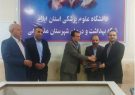 فریدون خدایاری، مدیر شبکه بهداشت و درمان ملکشاهی شد فریدون خدایاری، مدیر شبکه بهداشت و درمان ملکشاهی شد