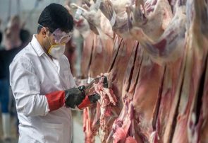 ۸ اکیپ ثابت و سیار دامپزشکی بر بازار دهلران نظارت دارند