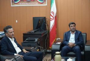 پیشرفت ۵۰ درصدی پروژه فاز اول گازرسانی به مرز چیلات/ دهلران در جمع شهرستان‌های سبز ایلام