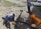 اجرای بیش از ۱۰۰۰ متر خط انتقال و شبکه توزیع آب در ملکشاهی