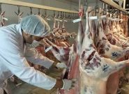 نظارت ویژه دامپزشکی ایلام در تاسوعا و عاشورا با استقرار ۳۶ اکیپ نظارت ویژه دامپزشکی ایلام در تاسوعا و عاشورا با استقرار ۳۶ اکیپ