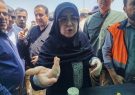 مهران به برکت خون شهدا با کربلا گره خورده است/ دنیا نظارهگر شکوه اربعین است