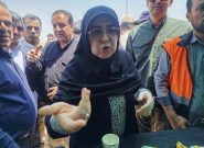مهران به برکت خون شهدا با کربلا گره خورده است/ دنیا نظاره‌گر شکوه اربعین است