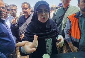 مهران به برکت خون شهدا با کربلا گره خورده است/ دنیا نظاره‌گر شکوه اربعین است